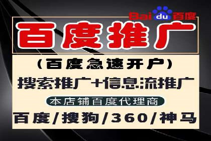 案例解读：SEO与SEM优化助力电商崛起